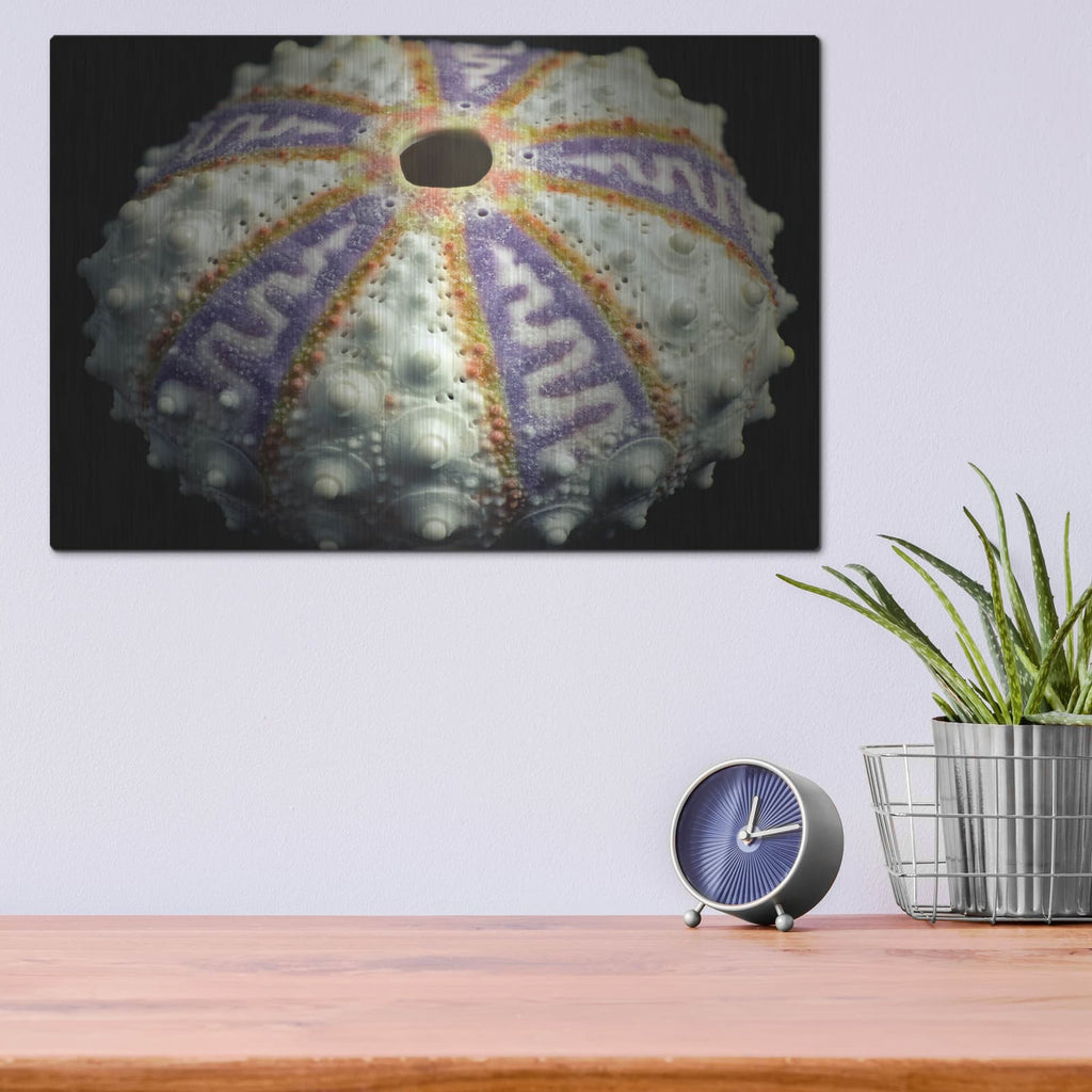 'Zig Zag' by Dennis Frates – Metal Wall Art, 16x12 room view