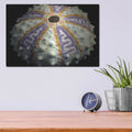 'Zig Zag' by Dennis Frates – Metal Wall Art, 16x12 room view