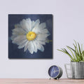 'Boldest Bloom 2 Dark Blue' by Danhui Nai – Metal Wall Art, 12x12 room view