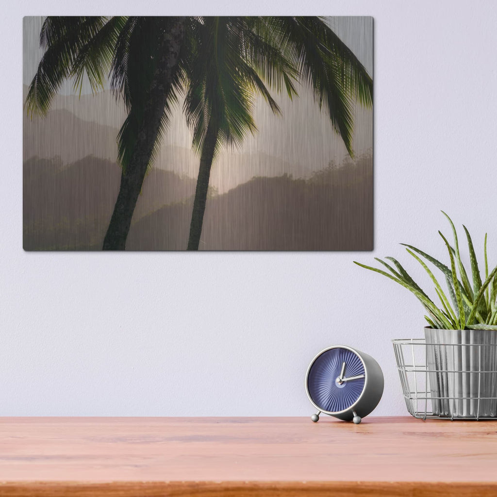 'Misty Palms I' by Dennis Frates – Metal Wall Art, 16x12 room view