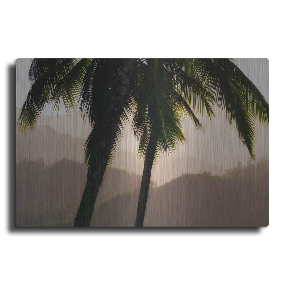'Misty Palms I' by Dennis Frates – Metal Wall Art