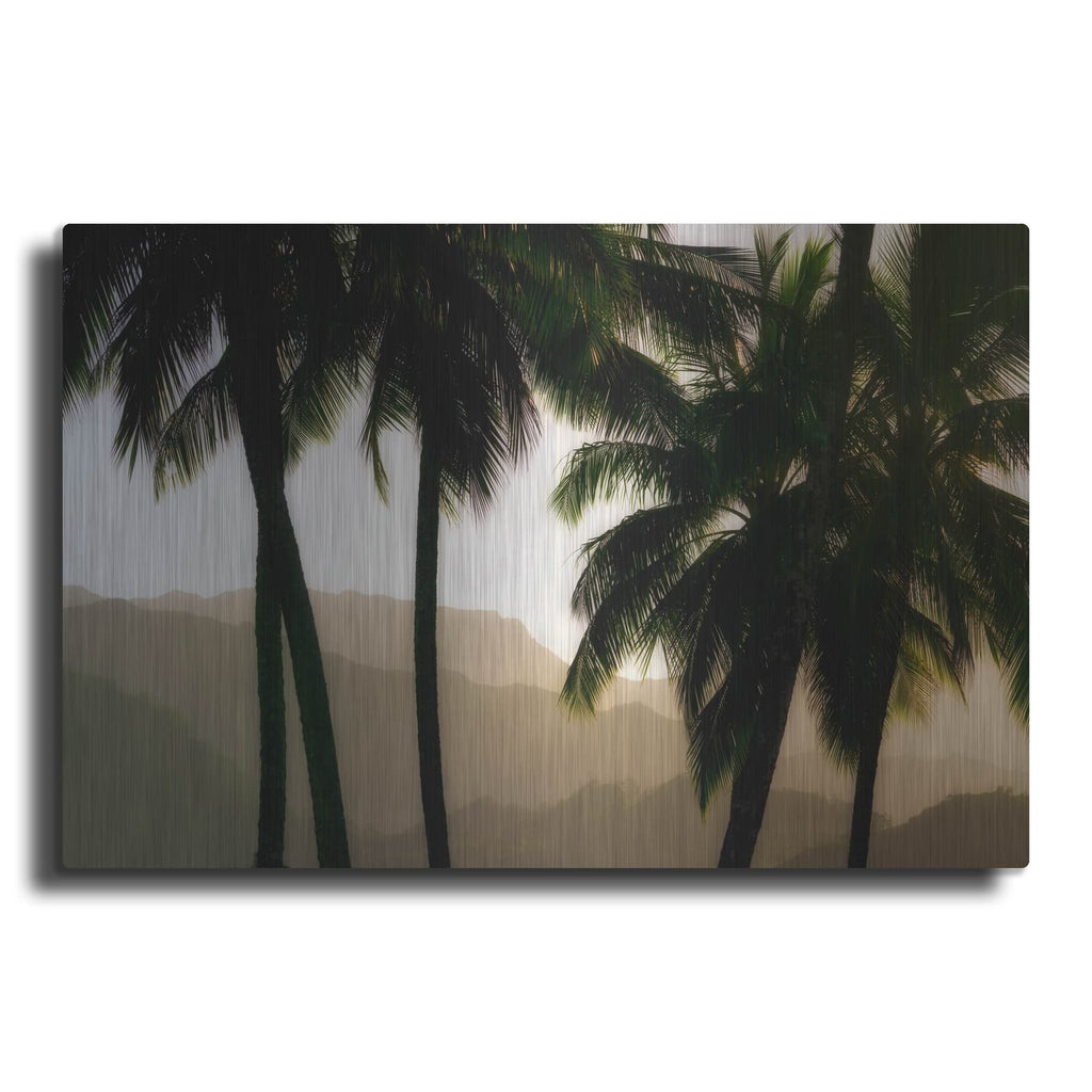 'Misty Palms II' by Dennis Frates – Metal Wall Art