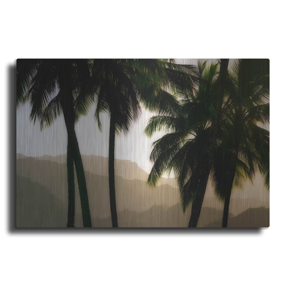 'Misty Palms II' by Dennis Frates – Metal Wall Art