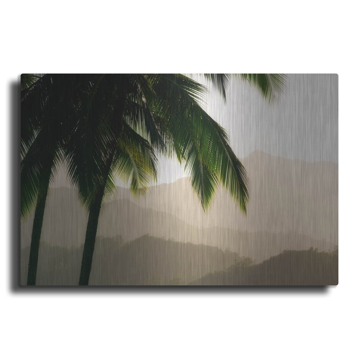 'Misty Palms III' by Dennis Frates – Metal Wall Art