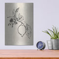 'Citrus Summer 3 C' by Danhui Nai – Metal Wall Art, 12x16 room view