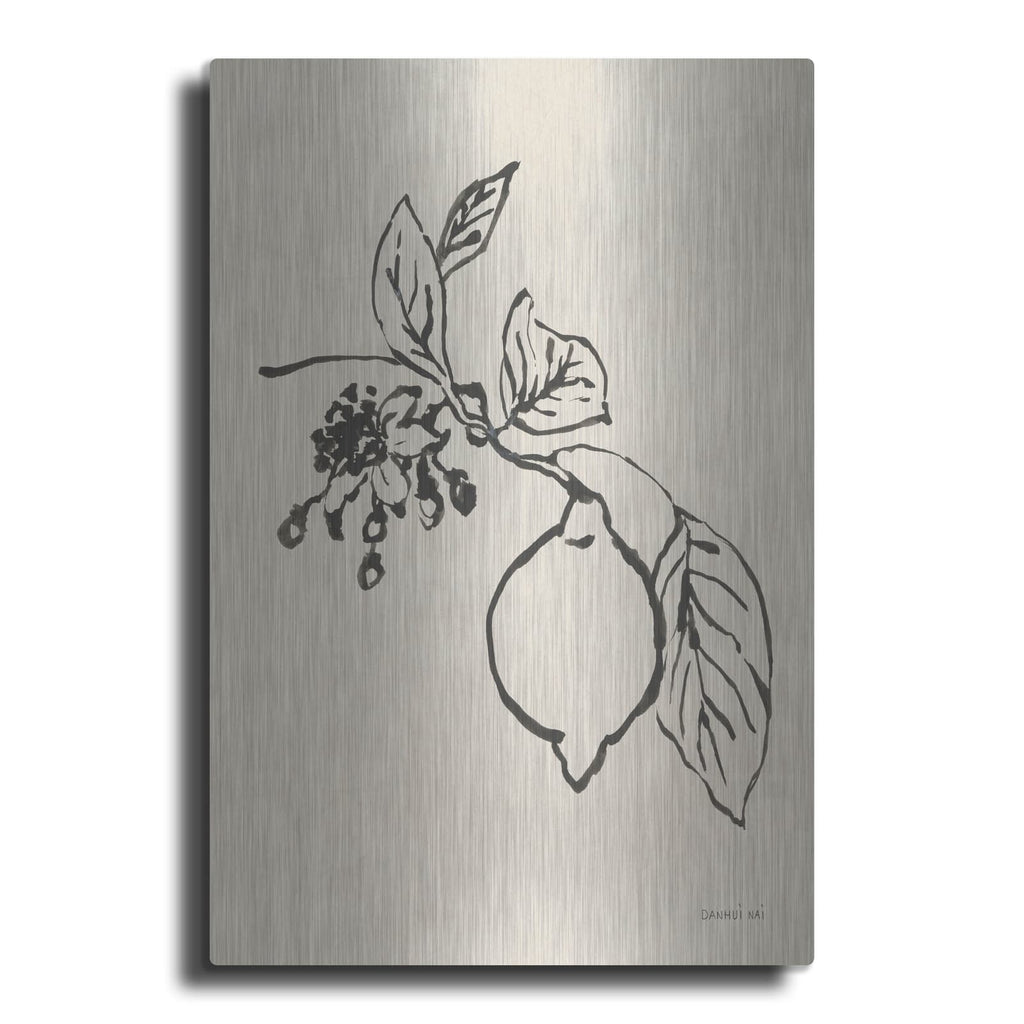 'Citrus Summer 3 C' by Danhui Nai – Metal Wall Art