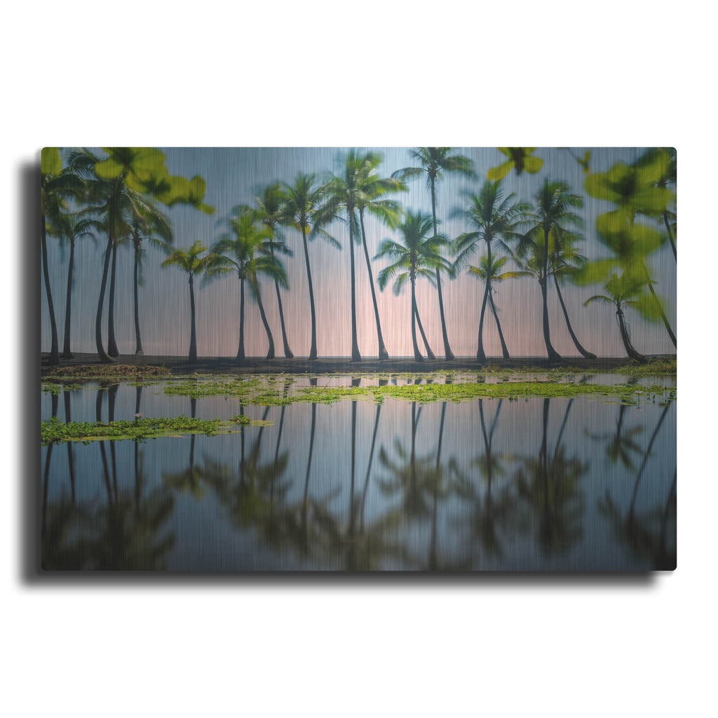 'Palm Tree Reflections' by Dennis Frates – Metal Wall Art