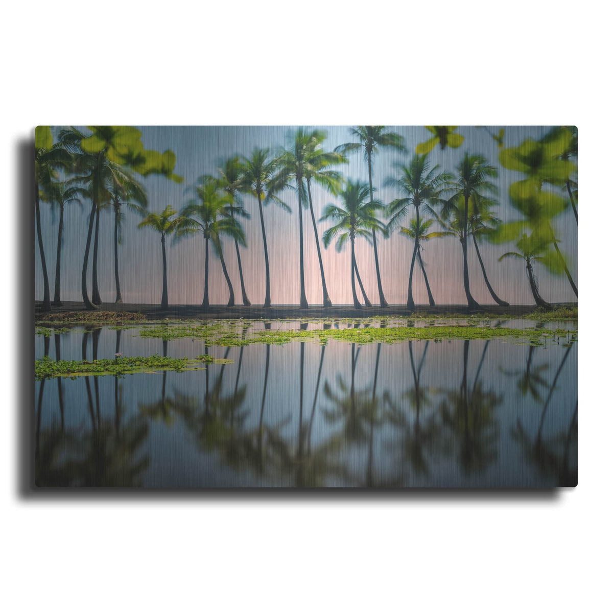 'Palm Tree Reflections' by Dennis Frates – Metal Wall Art
