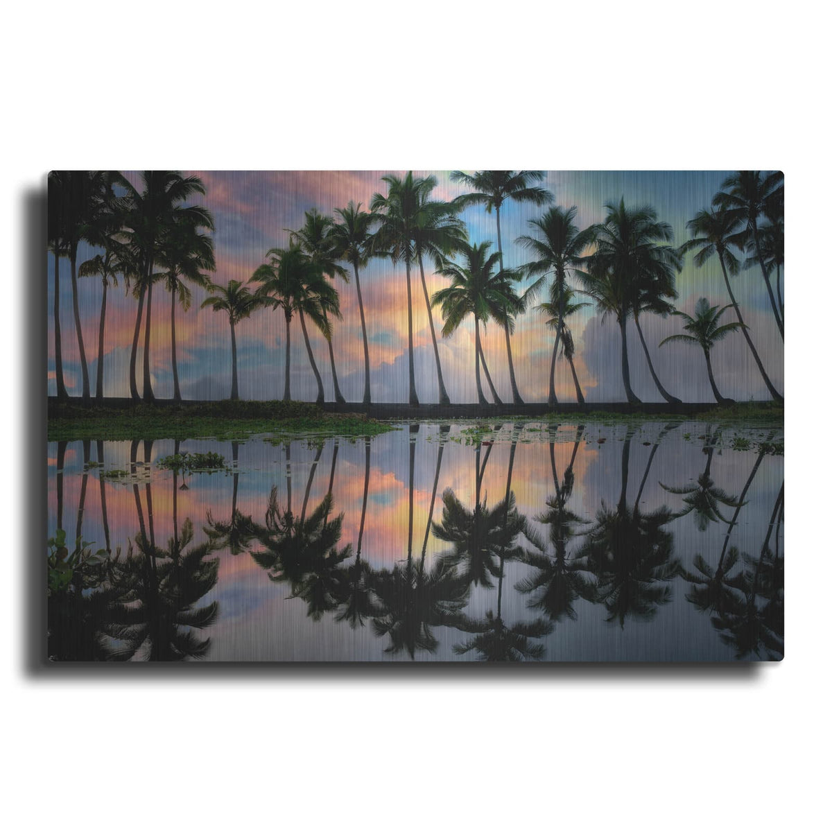 'Palm Reflections' by Dennis Frates – Metal Wall Art
