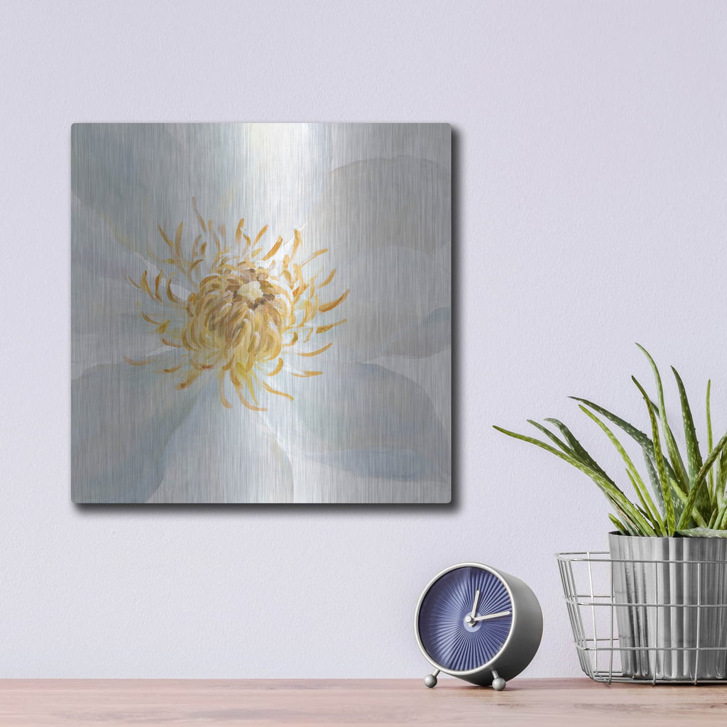 'Contemporary Clematis Gray' by Danhui Nai – Metal Wall Art, 12x12 room view