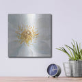 'Contemporary Clematis Gray' by Danhui Nai – Metal Wall Art, 12x12 room view