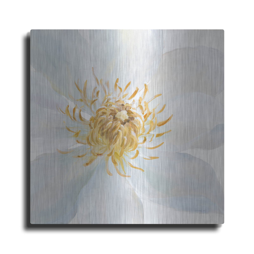 'Contemporary Clematis Gray' by Danhui Nai – Metal Wall Art