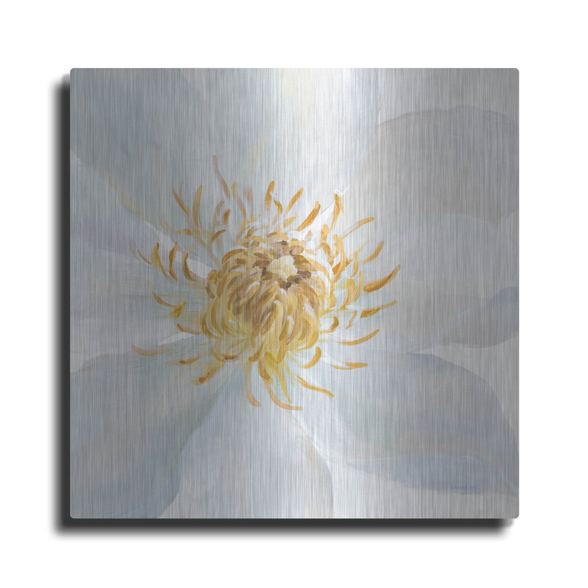 'Contemporary Clematis Gray' by Danhui Nai – Metal Wall Art