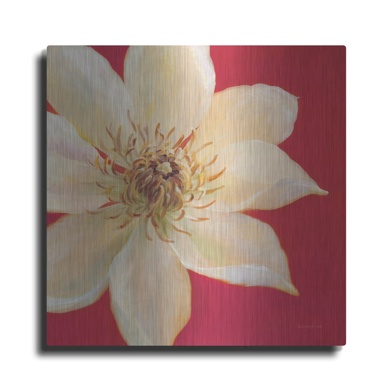 'Contemporary Clematis' by Danhui Nai – Metal Wall Art