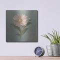 'Cottage Aster' by Danhui Nai – Metal Wall Art, 12x12 room view