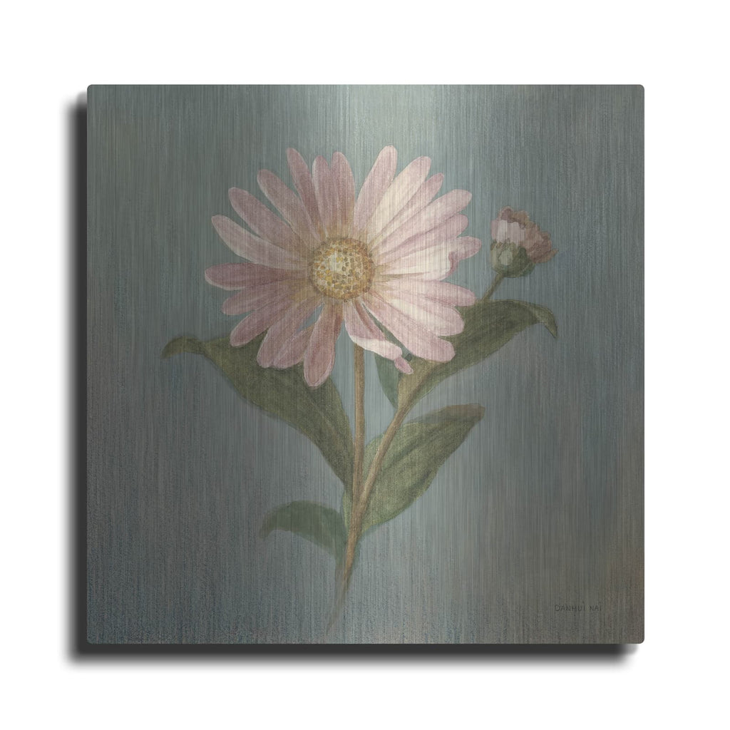 'Cottage Aster' by Danhui Nai – Metal Wall Art