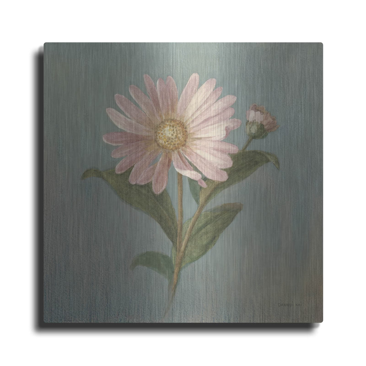 'Cottage Aster' by Danhui Nai – Metal Wall Art