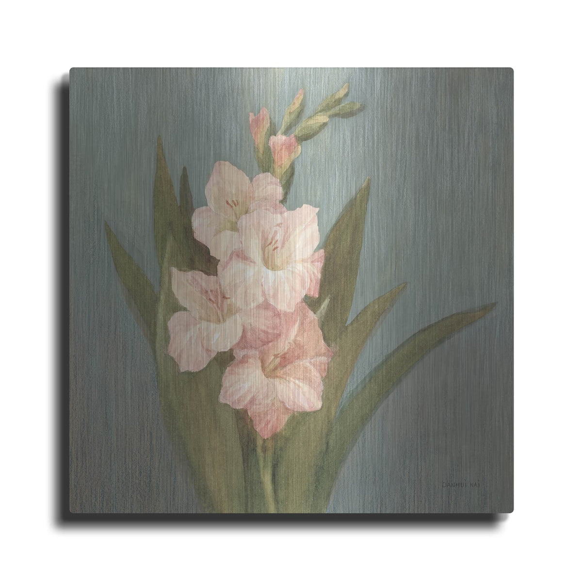 'Cottage Gladiola' by Danhui Nai – Metal Wall Art