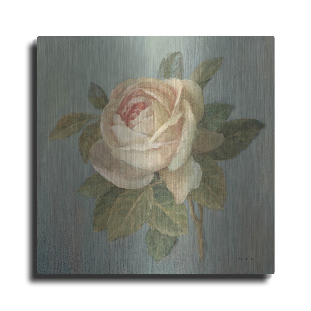 'Cottage Rose' by Danhui Nai – Metal Wall Art