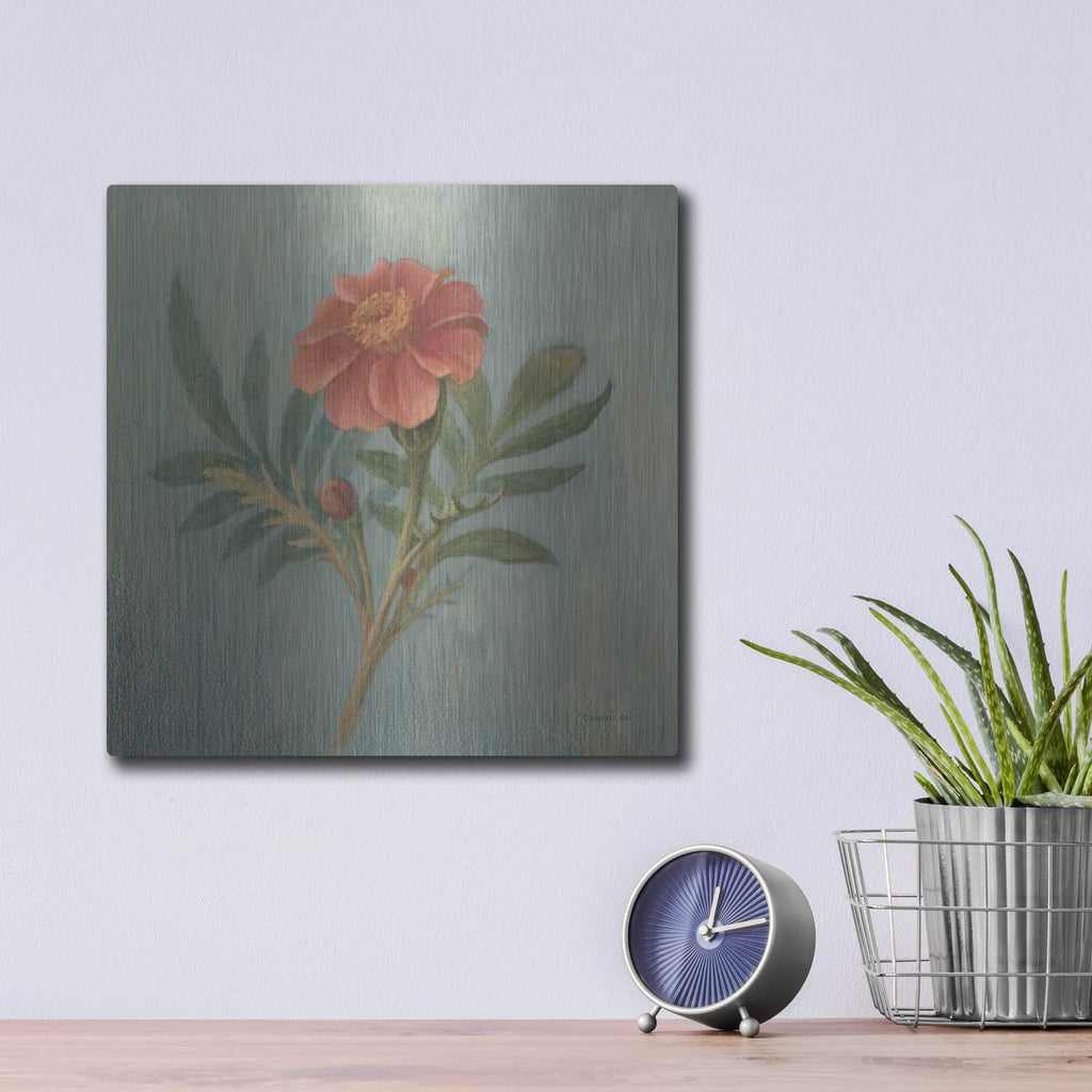 'Cottage Zinnia' by Danhui Nai – Metal Wall Art, 12x12 room view