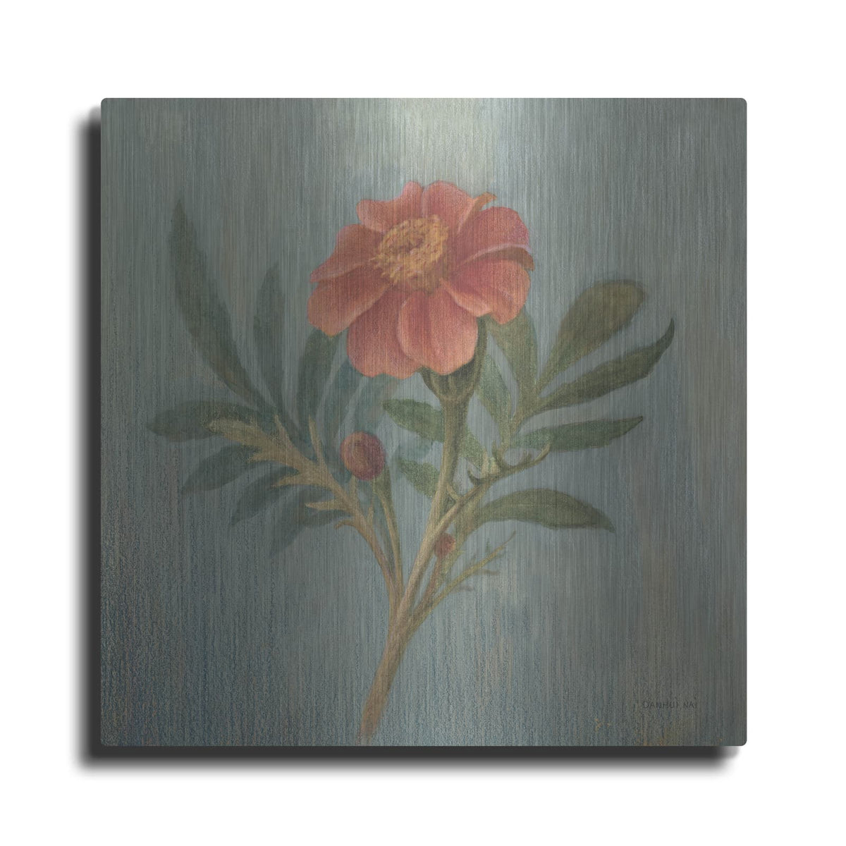 'Cottage Zinnia' by Danhui Nai – Metal Wall Art