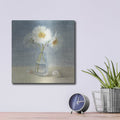 'Daisies And Shells' by Danhui Nai – Metal Wall Art, 12x12 room view