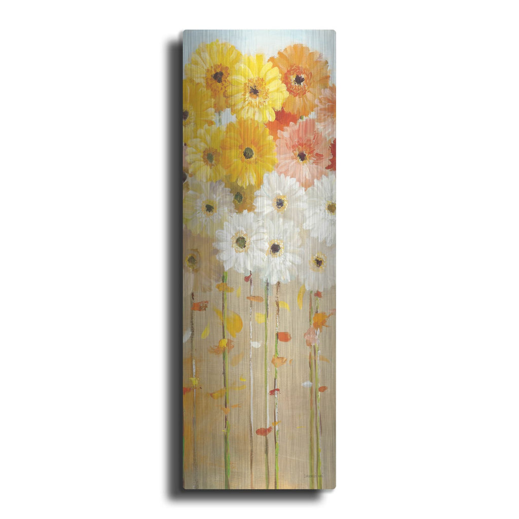 'Daisies Fall 1' by Danhui Nai – Metal Wall Art