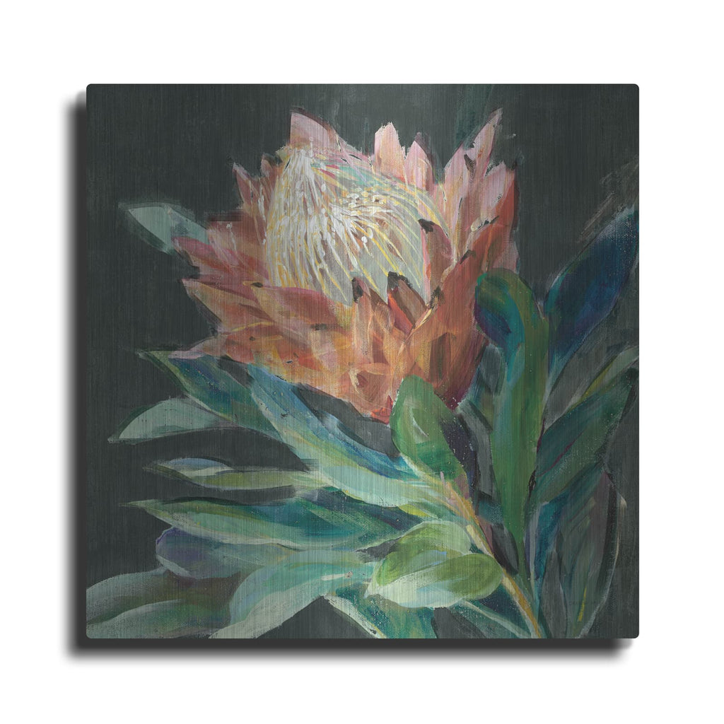 'Deep Protea C' by Danhui Nai – Metal Wall Art