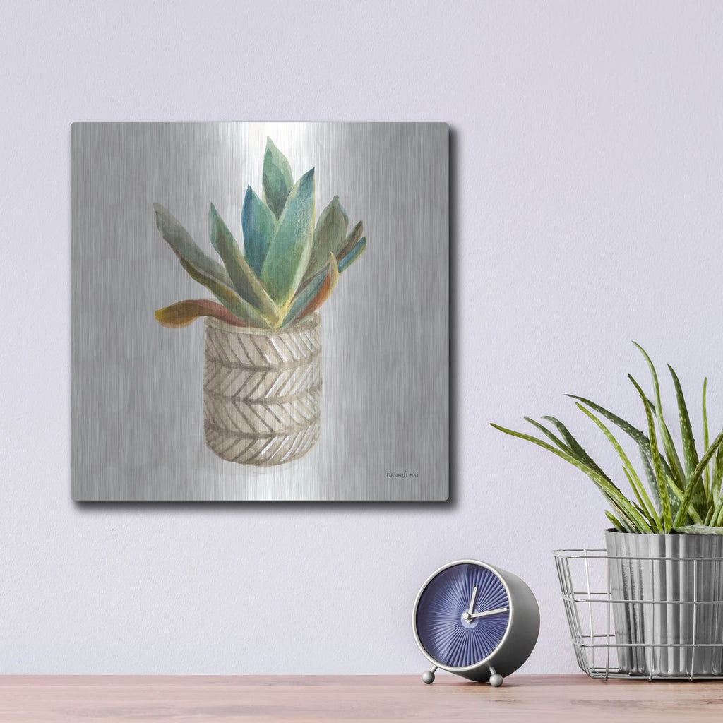 'Desert Greenhouse 13 Sq' by Danhui Nai – Metal Wall Art, 12x12 room view
