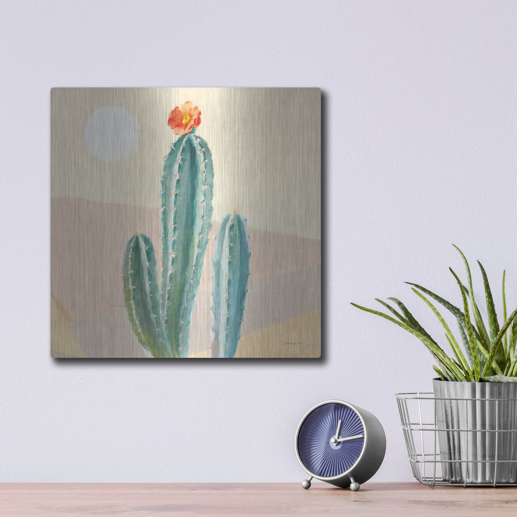 'Desert Greenhouse 3' by Danhui Nai – Metal Wall Art, 12x12 room view
