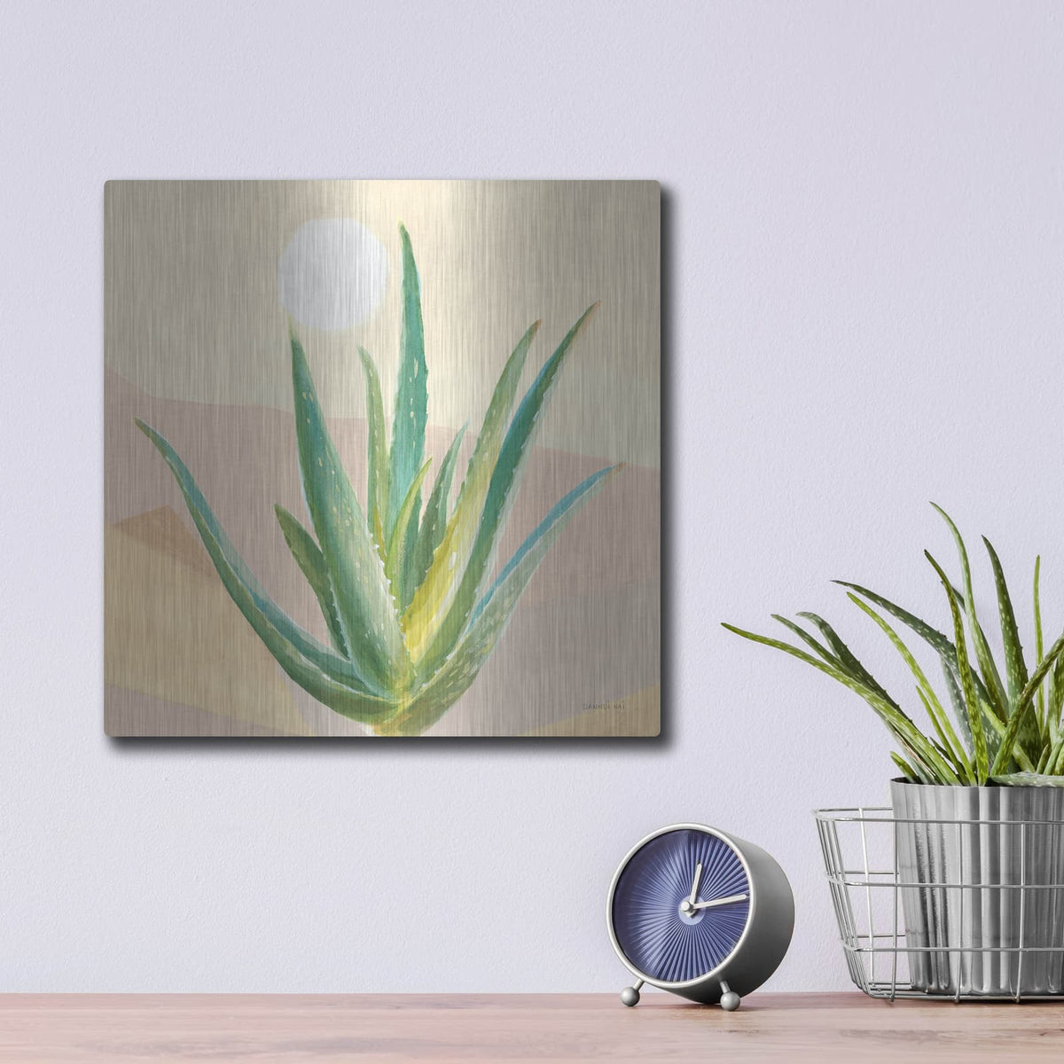 'Desert Greenhouse 5' by Danhui Nai – Metal Wall Art, 12x12 room view