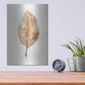 'Fallen Leaf 2 Texture' by Danhui Nai – Metal Wall Art, 12x16 room view