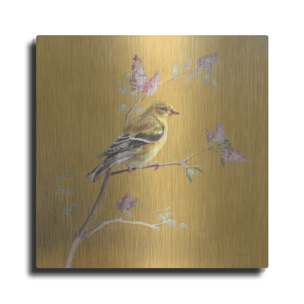 'Female Goldfinch On Gold' by Danhui Nai – Metal Wall Art