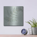 'Fern 1 With Orange' by Danhui Nai – Metal Wall Art, 12x12 room view