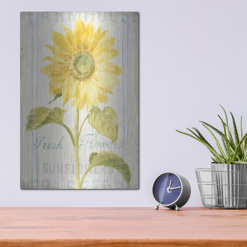 'Floursack Florals 2' by Danhui Nai – Metal Wall Art, 12x16 room view