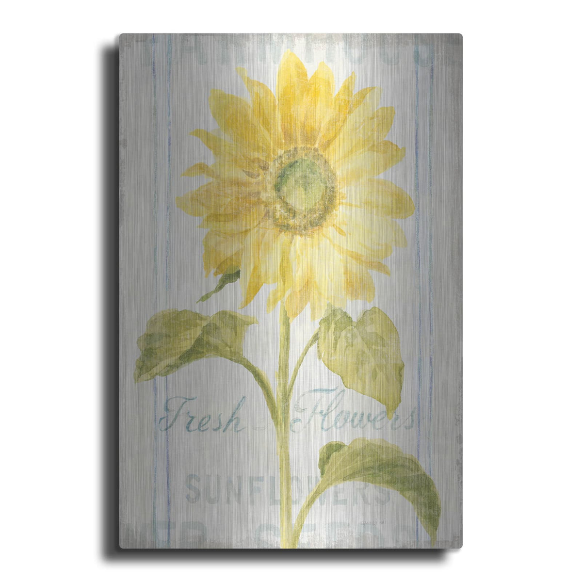 'Floursack Florals 2' by Danhui Nai – Metal Wall Art