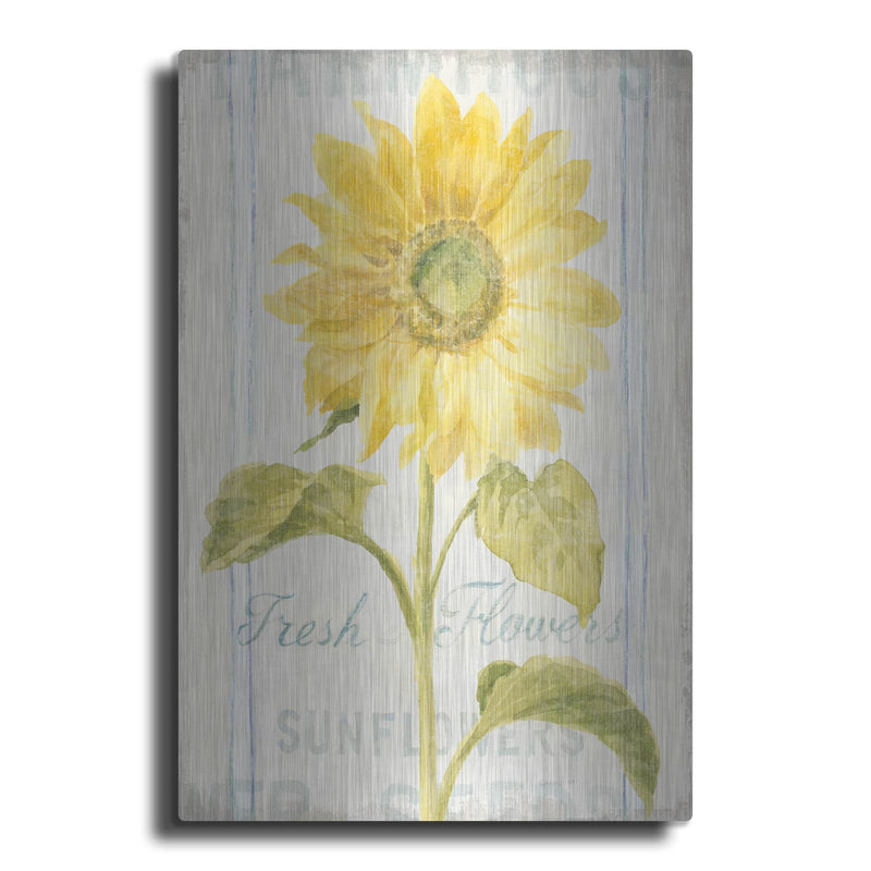 'Floursack Florals 2' by Danhui Nai – Metal Wall Art