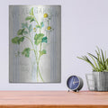 'Floursack Herbs 2' by Danhui Nai – Metal Wall Art, 12x16 room view