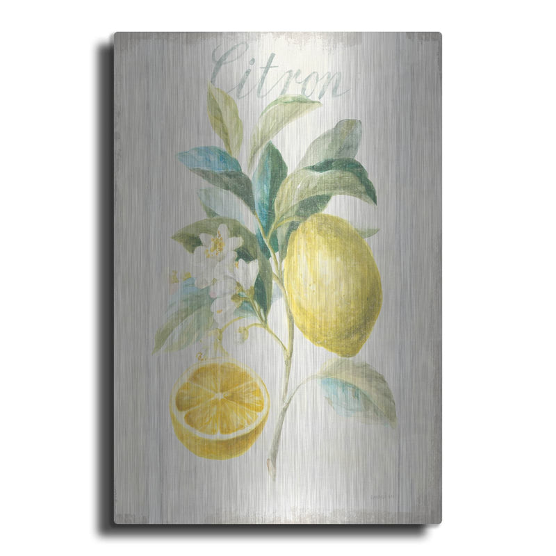 'Floursack Lemon 4 V2' by Danhui Nai – Metal Wall Art