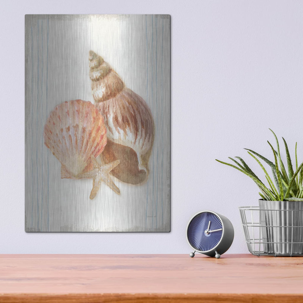 'Floursack Nautical Shells 1' by Danhui Nai – Metal Wall Art, 12x16 room view