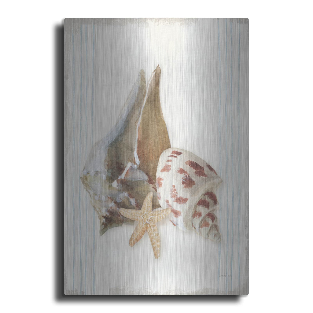 'Floursack Nautical Shells 2' by Danhui Nai – Metal Wall Art