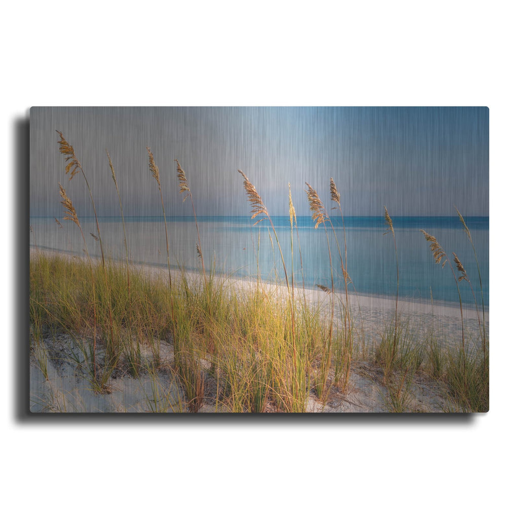 'Breezy' by Dennis Frates – Metal Wall Art
