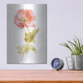 'Garden Poppy On White' by Danhui Nai – Metal Wall Art, 12x16 room view