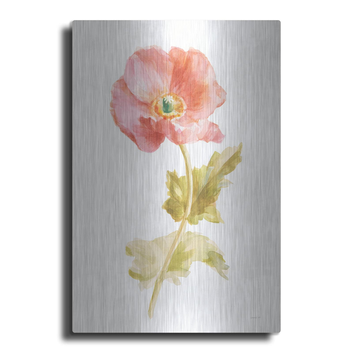 'Garden Poppy On White' by Danhui Nai – Metal Wall Art