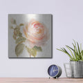 'Garden Rose C' by Danhui Nai – Metal Wall Art, 12x12 room view