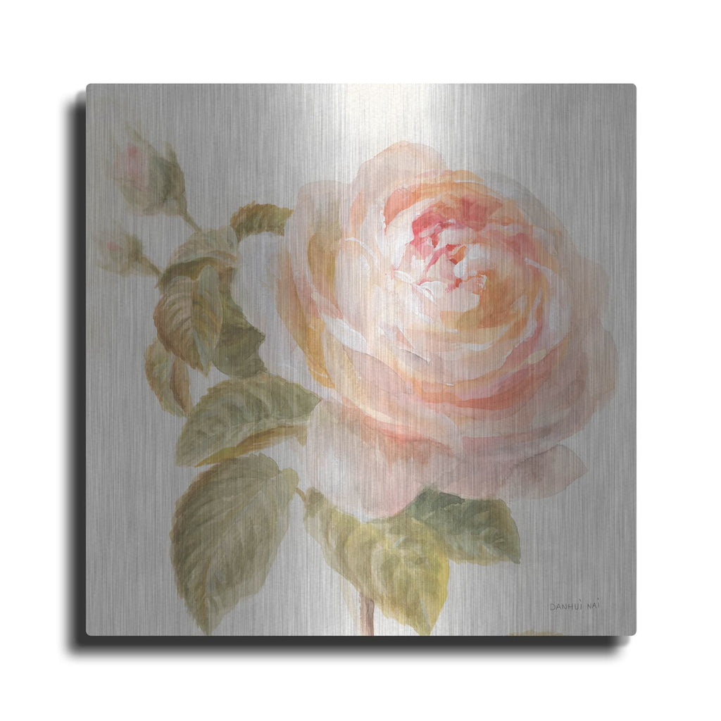 'Garden Rose C' by Danhui Nai – Metal Wall Art