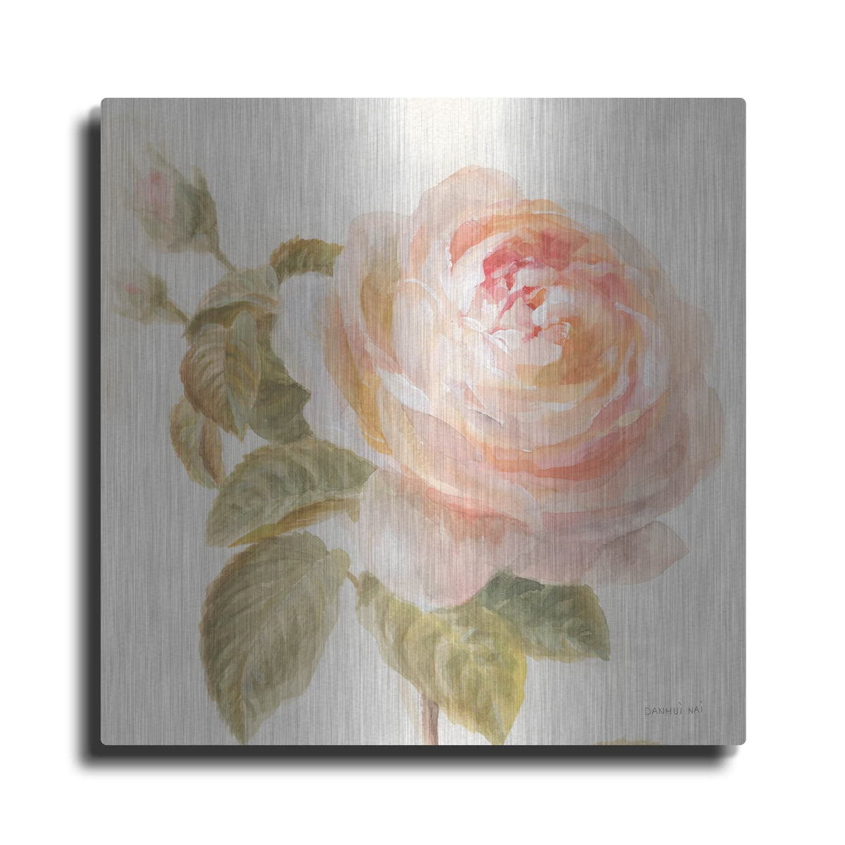 'Garden Rose C' by Danhui Nai – Metal Wall Art