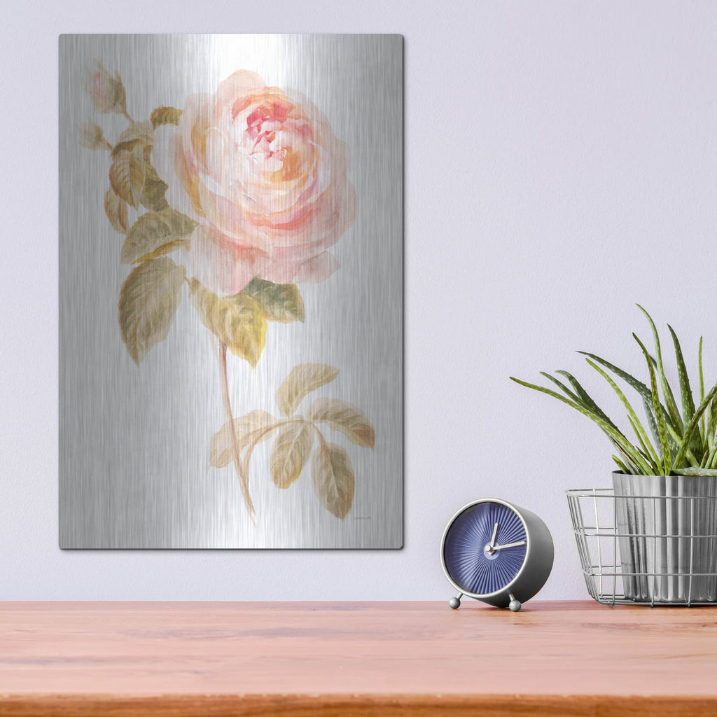 'Garden Rose On White' by Danhui Nai – Metal Wall Art, 12x16 room view