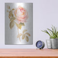 'Garden Rose On White' by Danhui Nai – Metal Wall Art, 12x16 room view