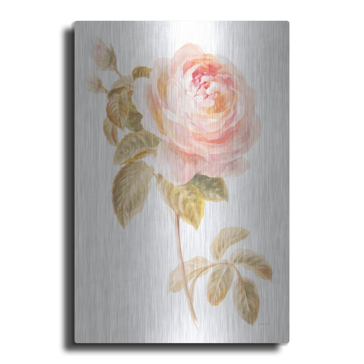 'Garden Rose On White' by Danhui Nai – Metal Wall Art